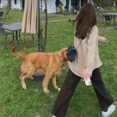 黄阿丽:风流女子 在线观看