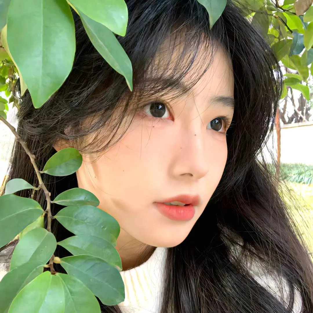 汉江之恋2025 在线观看