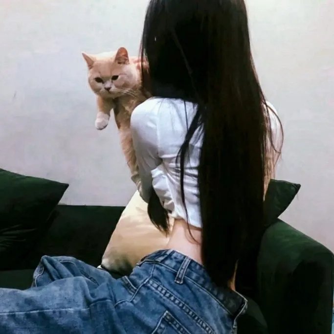 画舫风云粤语 在线观看